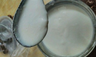 做酸奶的制作方法 九阳酸奶机做酸奶的制作方法