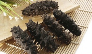 怎么选海参多少头好（如何挑选海参几头）