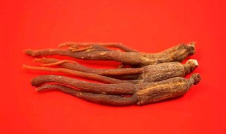 当参的功效与作用及食用方法（当参的功效与作用及食用方法禁忌）