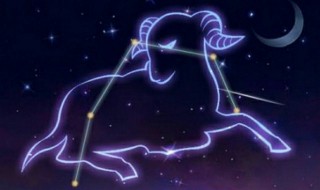 双子座和什么星座最配 双子座和什么星座最配对
