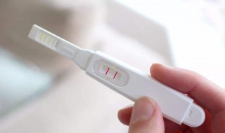 验孕棒的使用方法（验孕棒的使用方法是什么）