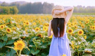 清新阳光短句 清新阳光短句说说