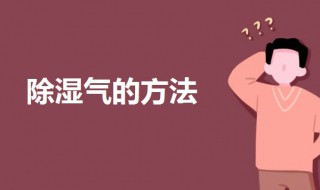 如何除湿气（如何除湿气最快最有效的方法）