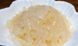 怎么保存新鲜海蜇 如何保存鲜海蜇