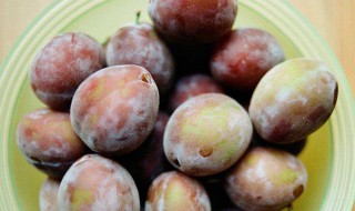 西梅夏天怎么保存 西梅怎样保存能不能放到冰箱里