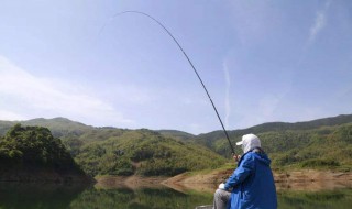 深水如何做钓黄尾 深水怎么钓黄尾