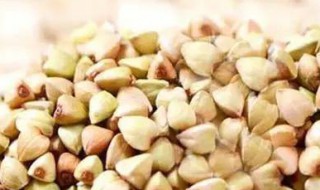 血糖高吃什么主食好 血脂高血糖高吃什么主食好