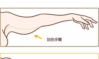 甩臂的正确方法（甩臂的正确方法图解）