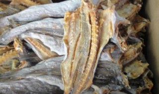 鲈鱼腌制长期保存方法（鲈鱼腌制长期保存方法图片）