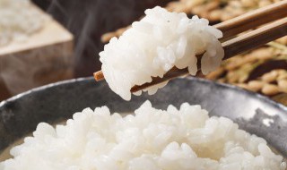 张家口特产（张家口特产美食）