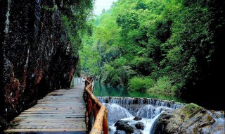 白水寨在哪里（增城白水寨在哪里）