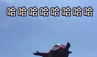 三个哈哈哈是什么意思? 三个哈哈哈是啥意思