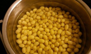 泡黄豆做法窍门（泡黄豆做法大全家常菜窍门）