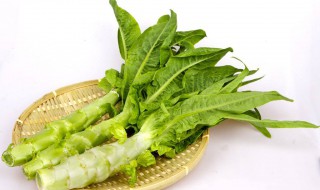 种莴笋小技巧（种莴笋小技巧视频）