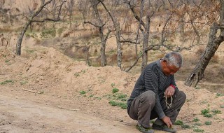 守村人是什么意思 守村人为什么都是傻子