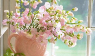 鲜花怎么保存更长（鲜花怎么保存更长的时间）