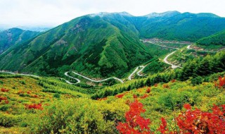 六盘山在哪里在什么省（六盘山在我国哪个省?）