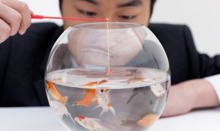 绑鱼嘴的方法（绑鱼嘴的方法视频教程）