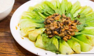 炒青菜保持绿的方法（炒青菜怎么能保持原有色）
