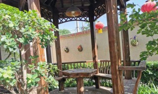 庭院驱鸟的方法（家庭院子驱鸟器有用吗）