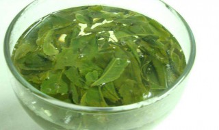 茶叶的用肥方法 茶叶的用肥方法和用量