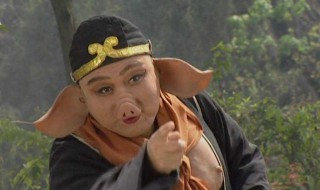 八戒都哪八戒呢 八戒有哪八戒