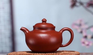 怎样鉴定紫砂壶（怎样鉴定紫砂壶是不是化工壶）