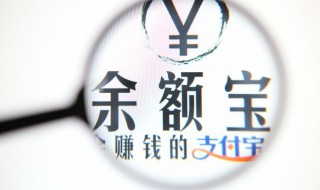 怎样设置支付宝密码（怎样设置支付宝密码登录）