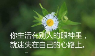 经典句子人生感悟 风景经典句子人生感悟