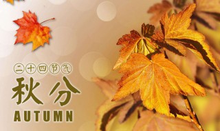 秋分象征着什么（秋分象征着什么寓意）