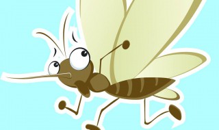 为什么花蚊子那么毒（为什么花蚊子越来越多）