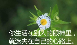 感悟人生句句精美（感悟人生的句子 经典）