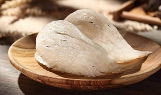 啥是燕窝（啥是燕窝果）