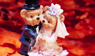 结婚20年是啥婚 结婚20年是啥婚姻