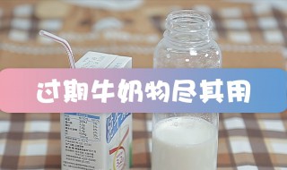 牛奶过期了如何利用 牛奶过期了如何利用 馒头