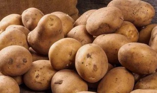 土豆营养价值及功效 土豆营养价值及功效作用作