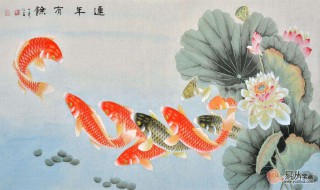 九鱼图的寓意（荷花九鱼图的寓意）
