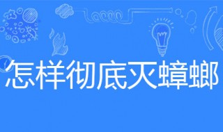怎样彻底灭蟑螂 怎样彻底消灭蟑螂再不生