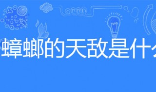 蟑螂的天敌 蟑螂的天敌植物薄荷