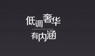 低调奢华有内涵下一句（大气上档次低调奢华有内涵下一句）
