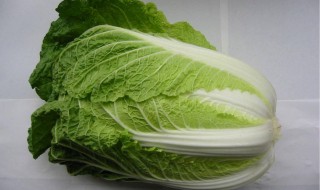 白菜的营养价值及功效（白菜的营养价值及功效与作用和生长环境）
