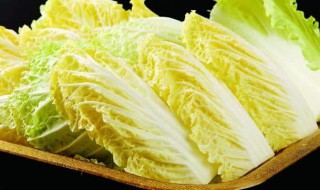 白菜苗几天浇一次水 白菜苗几天浇一次水啊