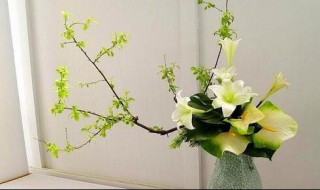 插花艺术教程固定法技巧（插花固定方法有哪几种）
