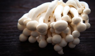 白玉菇和海鲜菇有什么区别 白玉菇和海鲜菇有什么区别吗