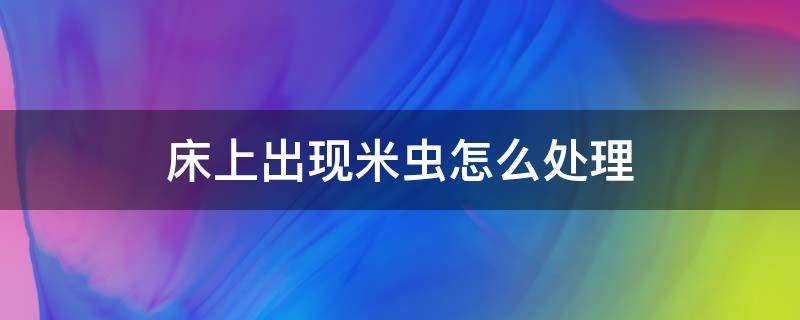 床上出现米虫怎么处理 床上有米虫怎么回事