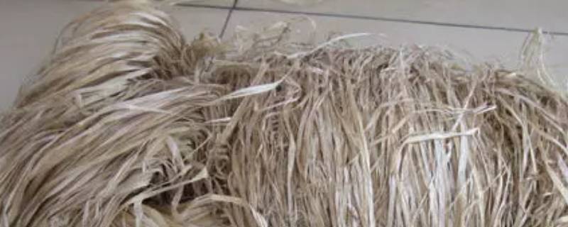 植物纤维是纯棉吗 洗脸巾天然植物纤维是纯棉吗