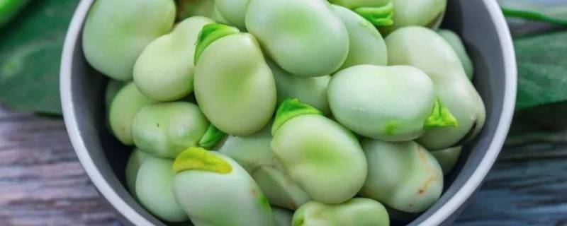 蚕豆的内部结构有哪些（蚕豆的内部结构有哪些图片）