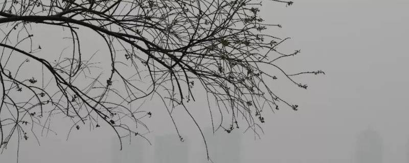 什么天气系统造成的大风为多（造成大风以什么天气系统造成的大风多）