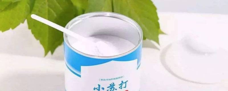 菠萝没有盐用什么代替（菠萝可以不放盐吗）