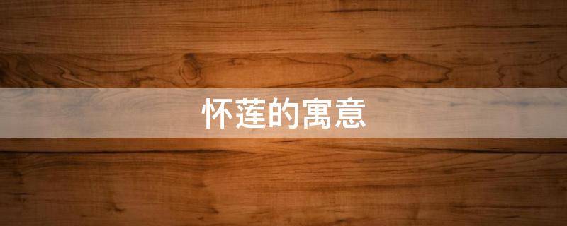 怀莲的寓意（心莲的寓意）